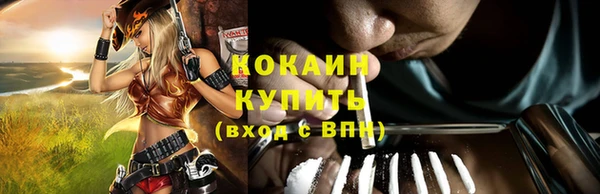 таблы Ельня