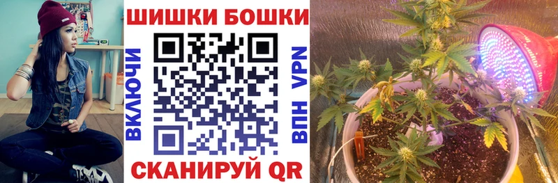 Каннабис SATIVA & INDICA  купить  цена  Алатырь 
